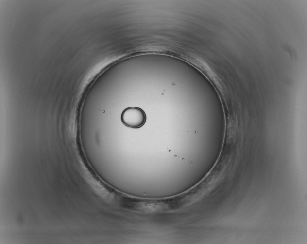 X0000113870795200910081726