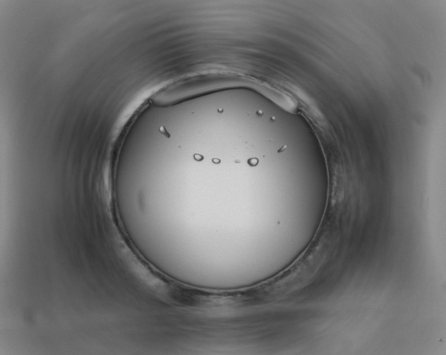 X0000113870796200910081726