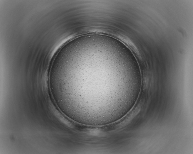 X0000113870798200910081726