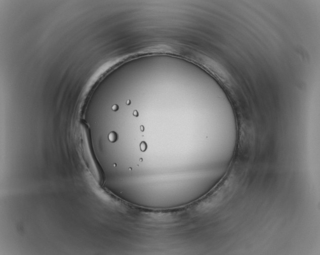 X0000113870800200910081726