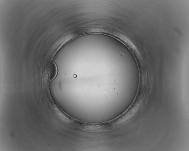 X0000113870801200910081726