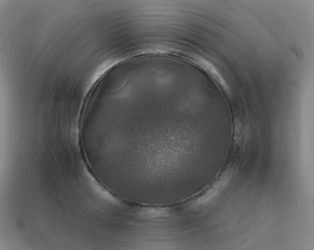 X0000113870802200910081726