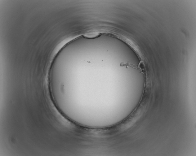 X0000113870803200910081726