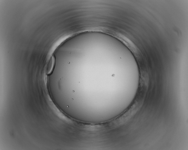 X0000113870804200910081726