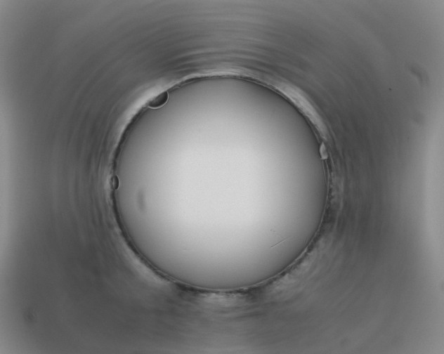 X0000113870805200910081726