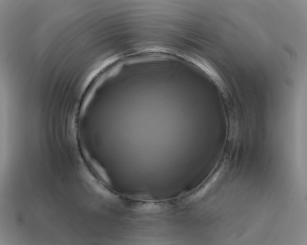 X0000113870806200910081726