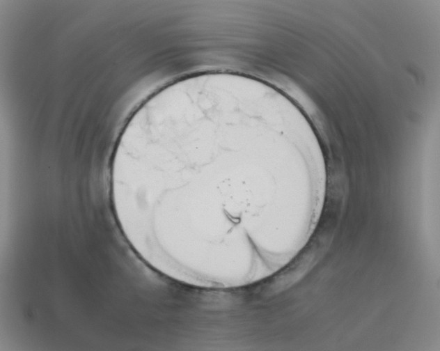 X0000113870807200910081726