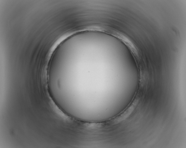 X0000113870808200910081726