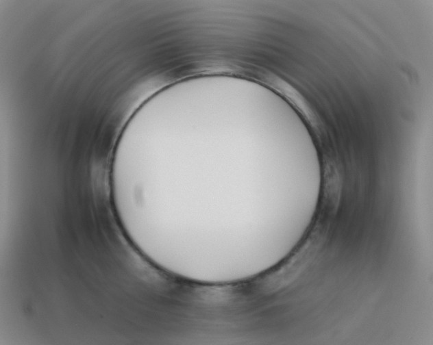 X0000113870810200910081726