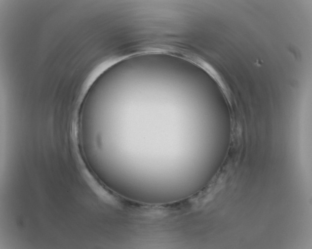 X0000113870811200910081726