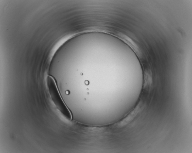 X0000113870812200910081725