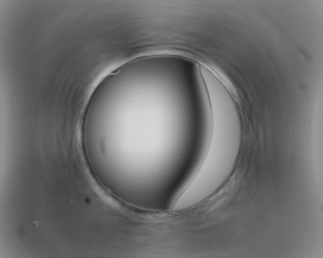 X0000113870813200910081725