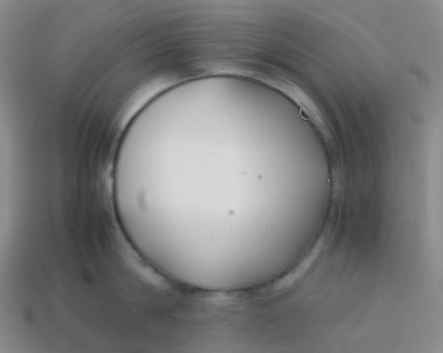 X0000113870814200910081725