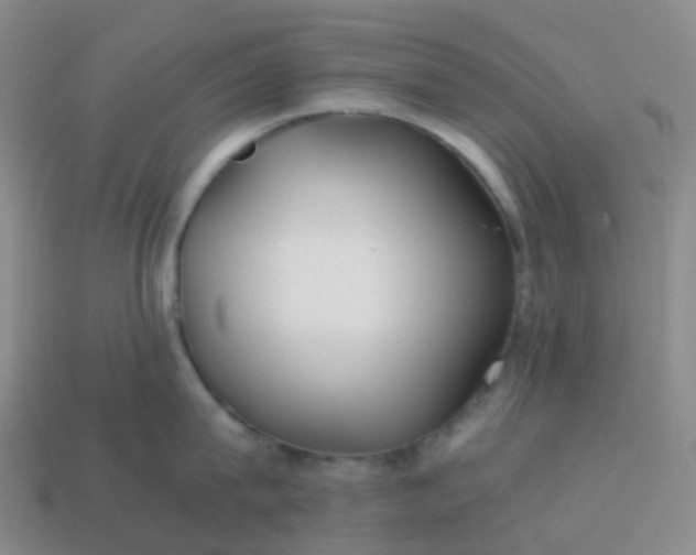 X0000113870815200910081725