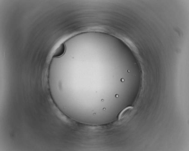 X0000113870816200910081725