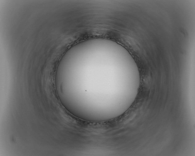 X0000113870817200910081725