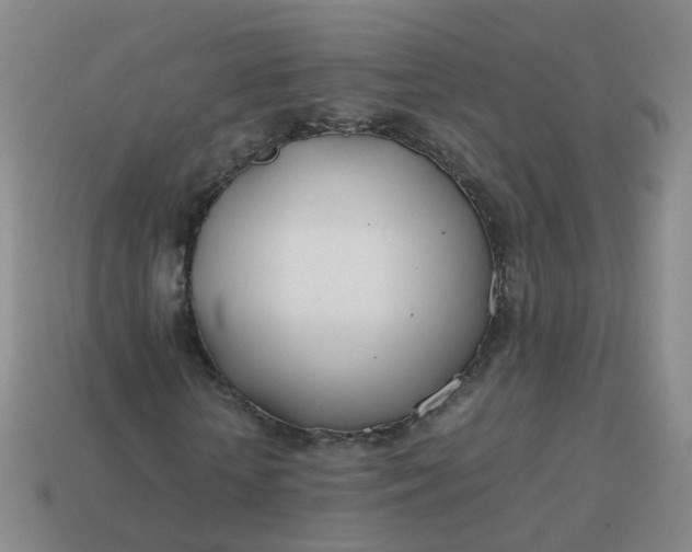 X0000113870818200910081725