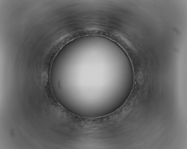 X0000113870821200910081725