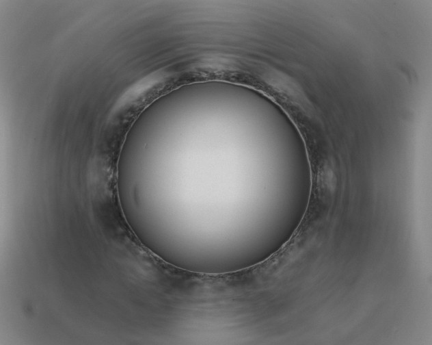 X0000113870822200910081725