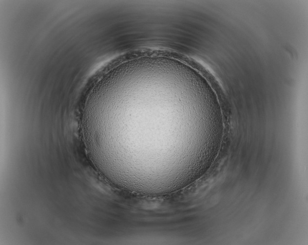 X0000113870823200910081725