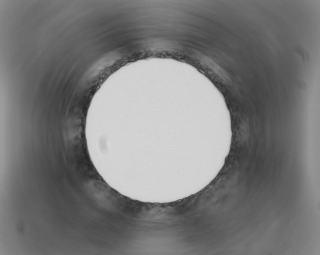 X0000113870824200910081725