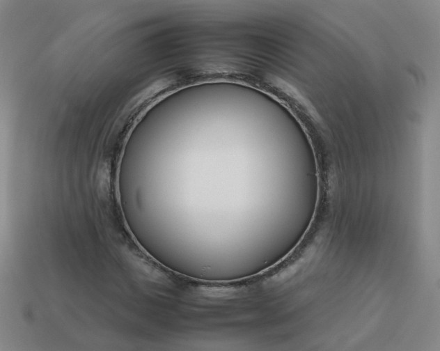 X0000113870825200910081725