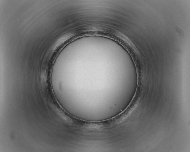 X0000113870826200910081725