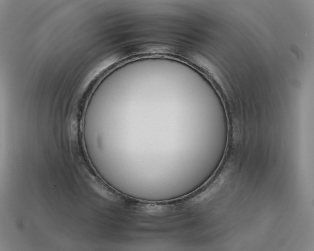 X0000113870827200910081725