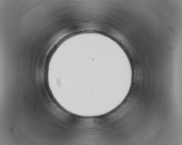 X0000113870828200910081725