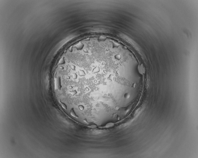 X0000113870829200910081725