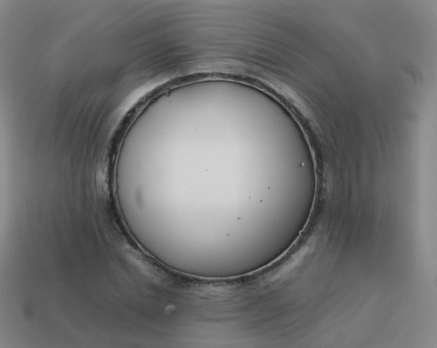 X0000113870830200910081725