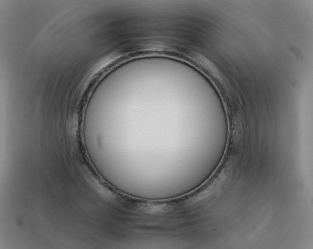 X0000113870831200910081725