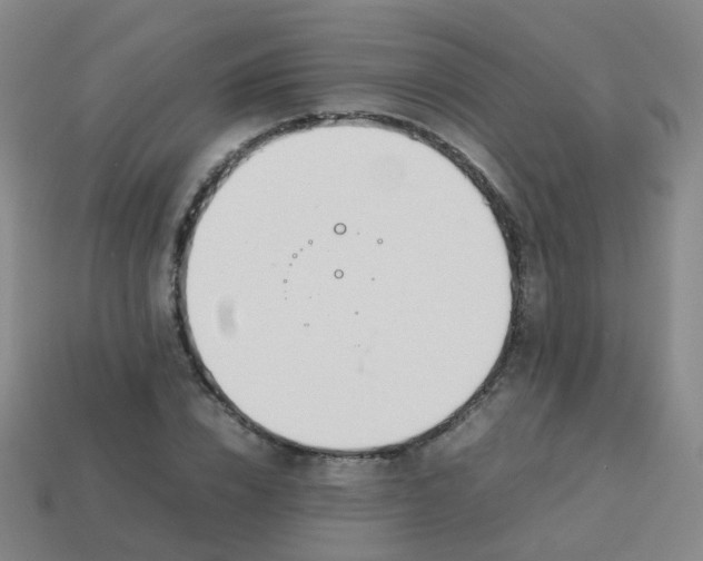 X0000113870832200910081725