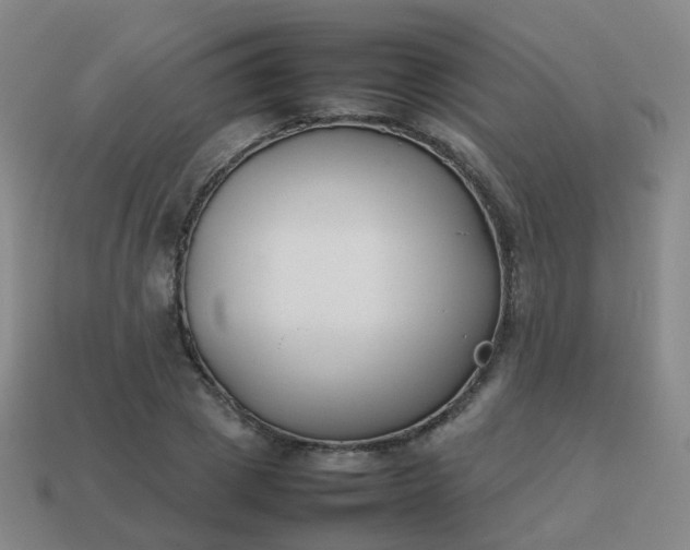 X0000113870833200910081725