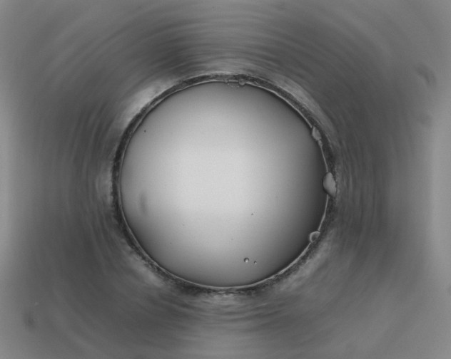 X0000113870834200910081725