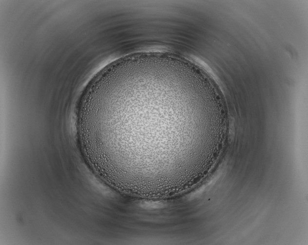 X0000113870835200910081725