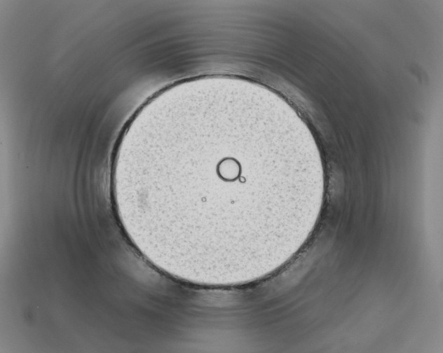 X0000113870836200910081725