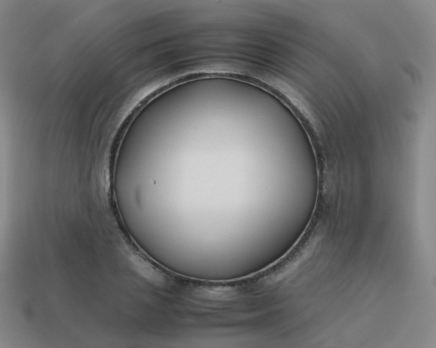 X0000113870837200910081725