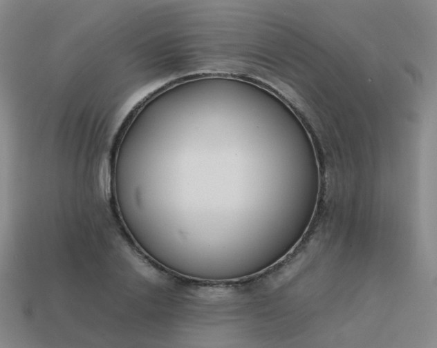 X0000113870838200910081725