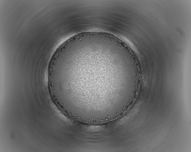 X0000113870839200910081725