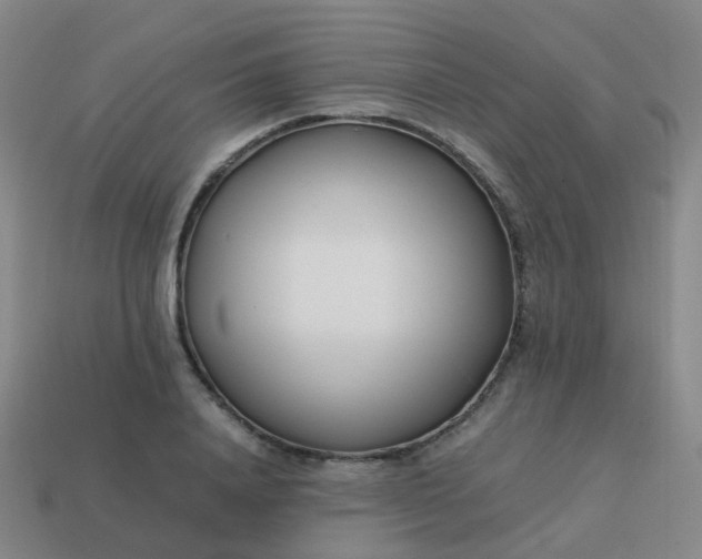 X0000113870840200910081725