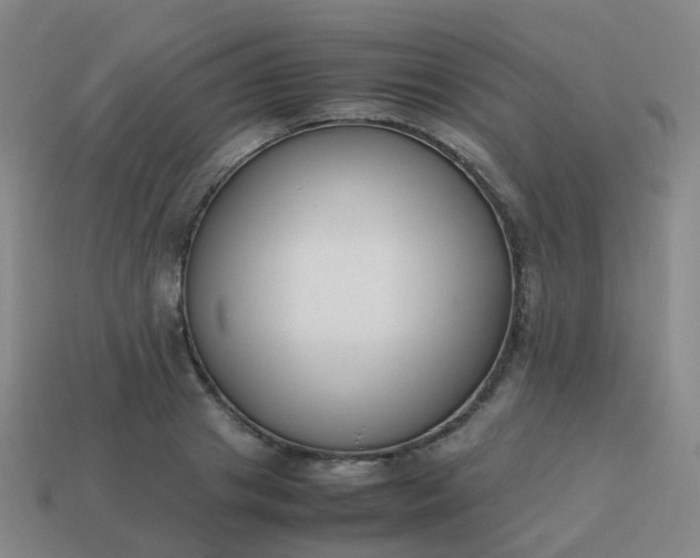 X0000113870841200910081725