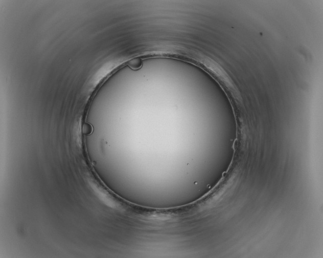 X0000113870842200910081725