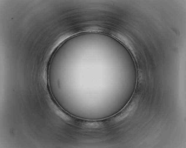 X0000113870843200910081725