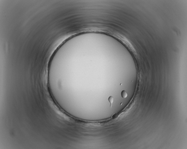 X0000113870844200910081725