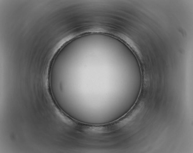 X0000113870845200910081725