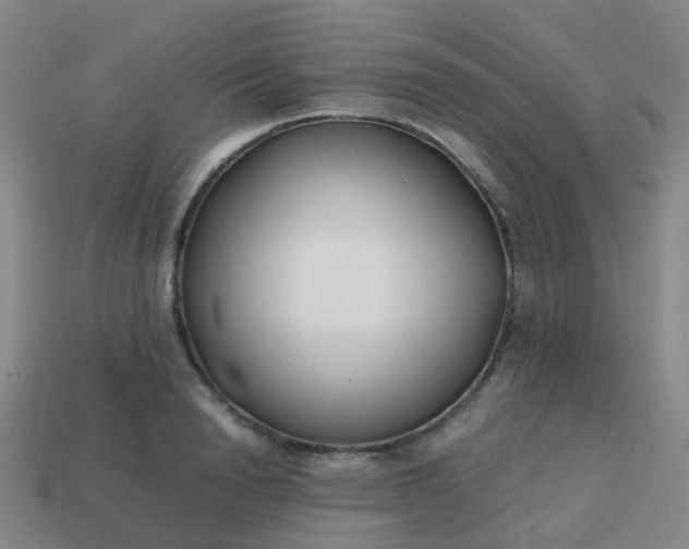 X0000113870846200910081725