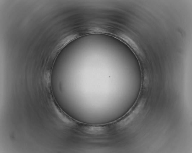 X0000113870849200910081725