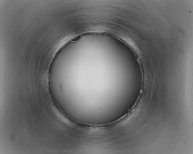 X0000113870850200910081725