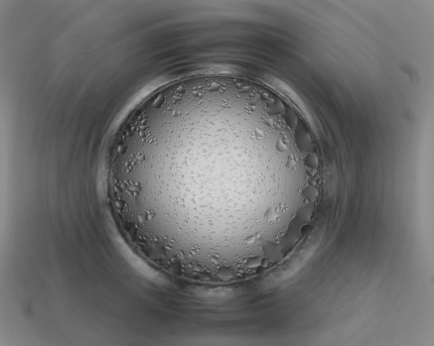 X0000113870851200910081725